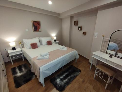 Arachova Apartment | Αρσινόη apartments 3
