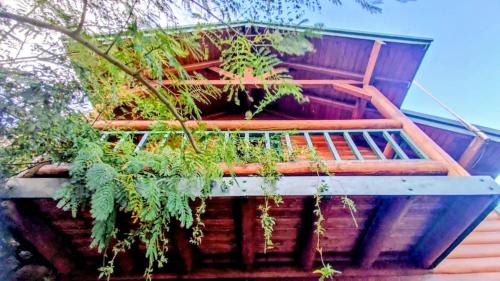 Andronianoi Ski Chalet | Ξύλινο Σαλέ στους Ανδρώνιανους