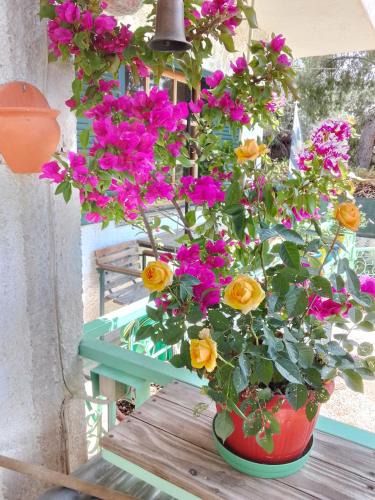 Markopoulo Mesogaias Apartment | 4 Seasons Island suites Athens Airport 2