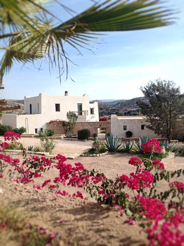 Sidi Ahmed Essayeh Bed & Breakfast | 55 m² Bed and breakfast ∙ 2 bedrooms ∙ 4 guests