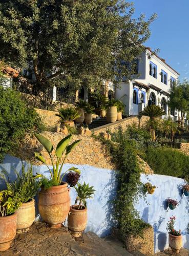 Chefchaouen Hotel | Dar Jasmine