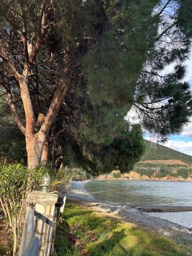 Marathias Villa | Fokiotrypa Seaside Retreat