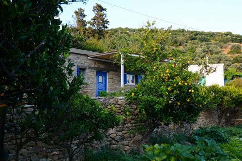 Kato Aprovatou House | K vineyard house