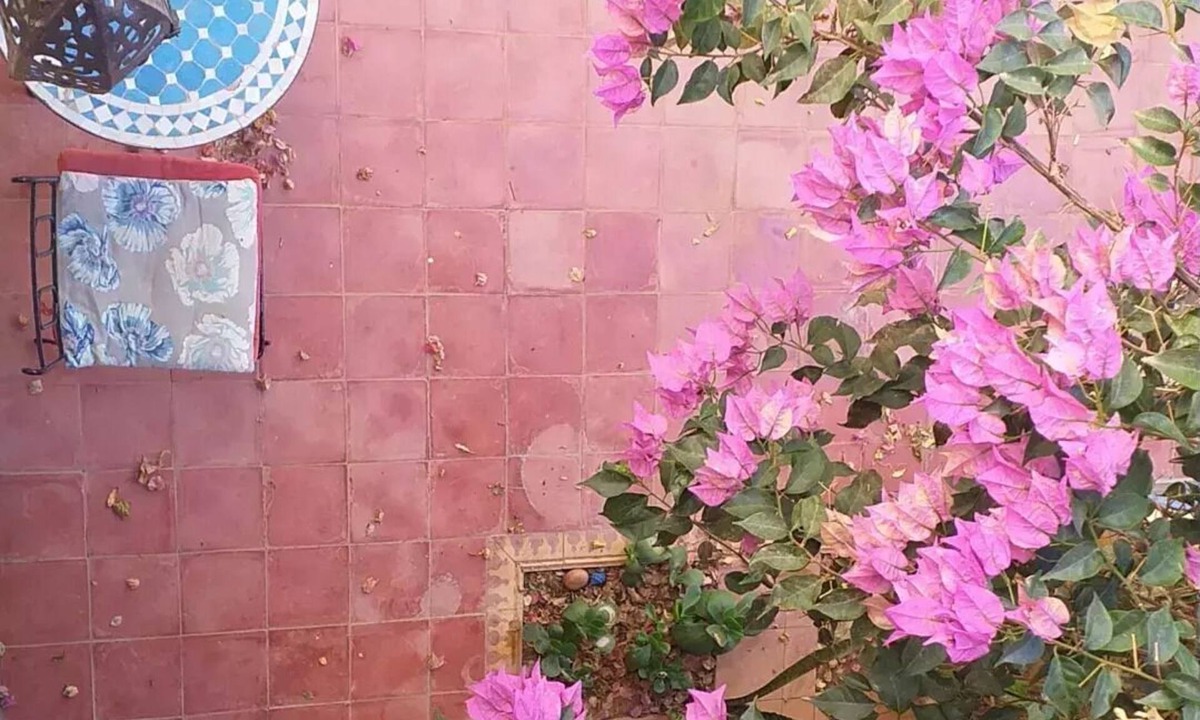 Tnine Aglou Cottage | LANDHAUS-MAROKKO with terraces and beautiful garden in the courtyard