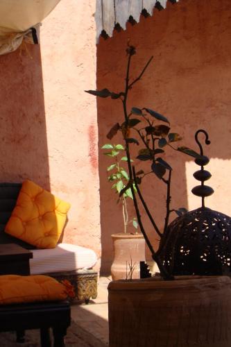 Meknes Medina House | Riad Menthe Et Citron