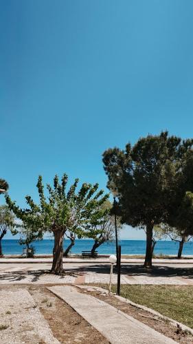 Paralia Porovitsis House | Sea-view apartment in Akrata