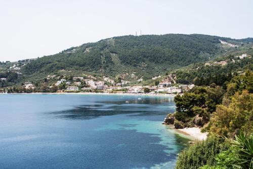 Skiathos Town Apartment | Thama of Skiathos Apartment 2