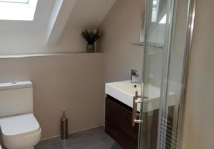 Helena Professional Studio Apartment in Reading