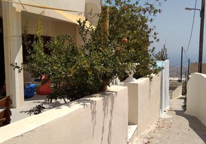 The Garden View 2