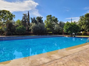 Palmeraie Village | Palmeraie