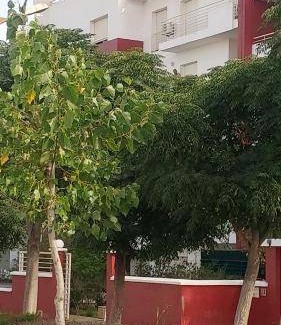 Sidi Yahya Zaer Apartment | 75 m² Apartment ∙ 1 bedroom ∙ 4 guests