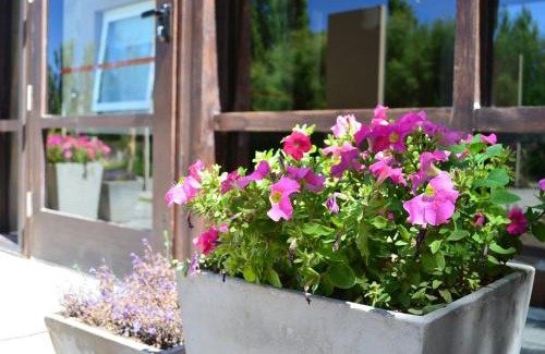 Chos Malal Hotel | Terra Malal