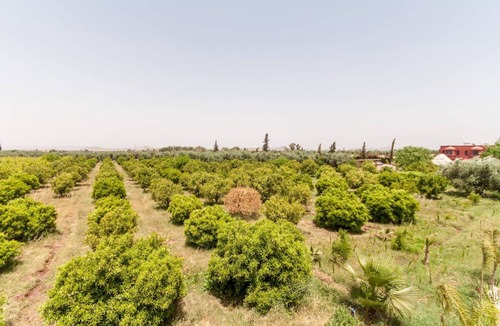 Palmeraie Villa | 350 m² Villa ∙ 8 bedrooms ∙ 16 guests