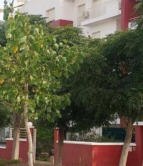 Sidi Yahya Zaer Apartment | 75 m² Apartment ∙ 1 bedroom ∙ 4 guests