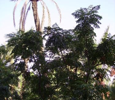 Majorelle Apartment | Appart avec vue Jardin/Majorelle