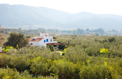 Xirolivado House | Beachfront cottage house in olive grove