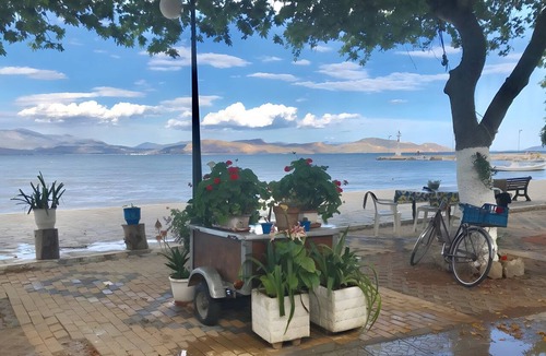 Mili Apartment | Casa Lela 3 – Traditional Stone Studio 8m from the Sea
