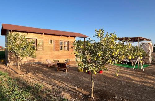 Ain Tizgha Ski Chalet | Countryside's Tiny House