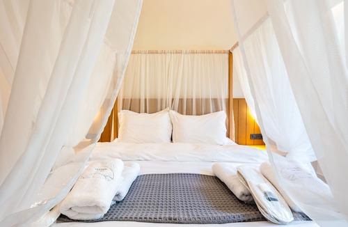 Artemisia Hotel | DENTHIS