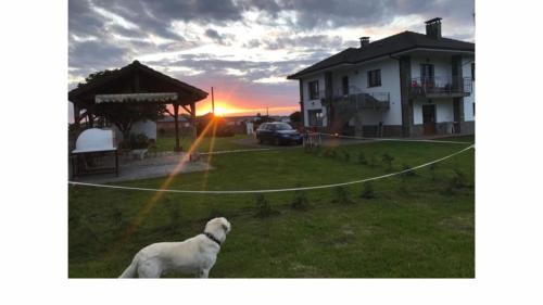 Busto House | El Rancho Busto - Luarca