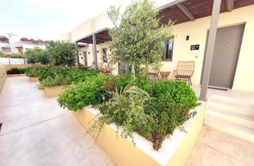 Platanes Apartment | Elea Suites Adelianos Kampos