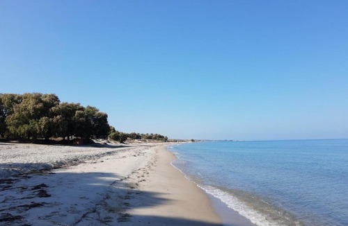 Marmari Hotel | Evita Flamingo