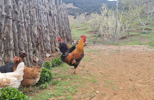 Bab Boudir Bed & Breakfast | Gite Ain Bechar
