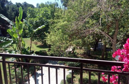 Pineios Bed & Breakfast | Hotel Dougas