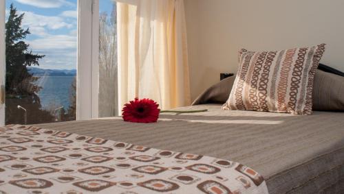 Centro Hotel | Hotel Tierra Gaucha