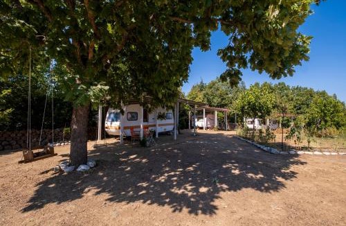 Agia Cabin | IRI.MIA nature home