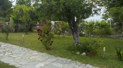 Kriopigi House | KATERINA'S HOLIDAY HOME