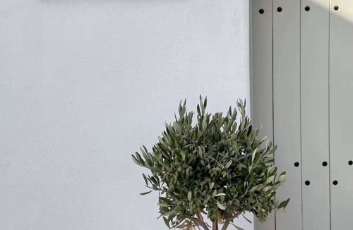 Emporio Apartment | Lamar Cave House