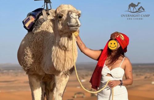 Taouz Other | Overnight Camp Erg Chebbi