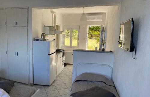 Nea Mesagkala Apartment | Poseidon Street ΝΕΑ ΜΕΣΑΓΓΑΛΑ Γκαρσονιέρα 2