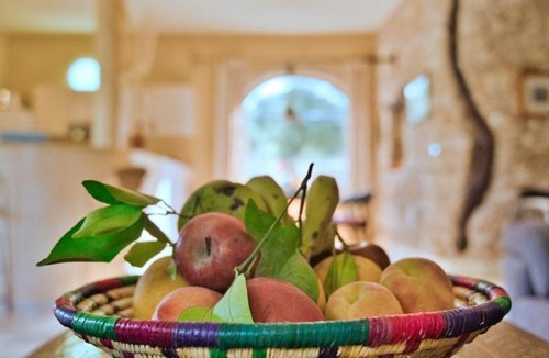 El Hanchane Villa | Private Villa & Nature - Domaine l'Oliveraie