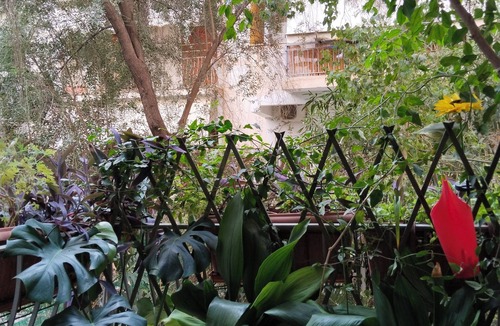Ilisia Apartment | Quiet and bright - an authentic apartment near the Hilton