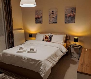 Trikala Apartment | Stelina's Guest House in Trikala