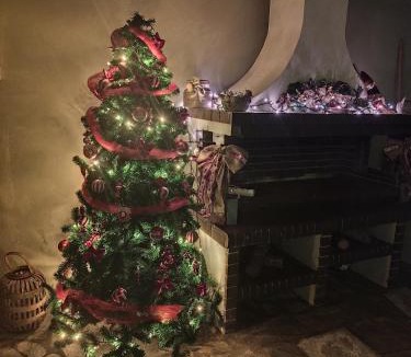 Trikala Apartment | The family's house Trikala