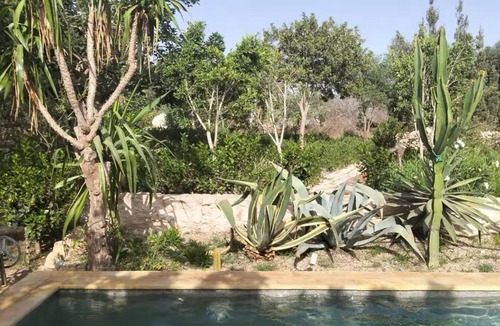 Essaouira Villa | Typical villa with pool