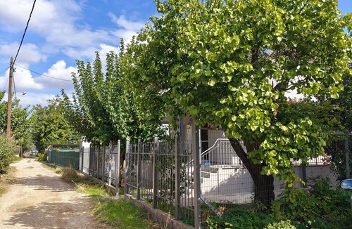 Marathon Villa | Valeria’s Villa: Exclusive Retreat with Musical Instruments Near Idyllic Beaches