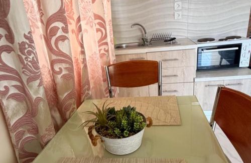 Pineios Apartment | Vasiliki's Apartments