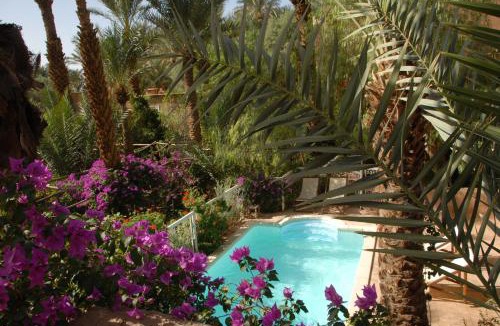 Amezrou House | Villa Zagora Desert Retreat Restaurant-Pool-Sahara Tours