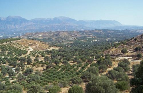 Kamilari Villa | Villas Alexandros