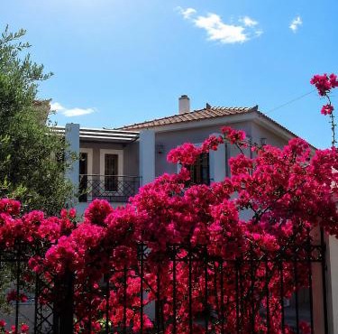 Almyra Seaside Apartments