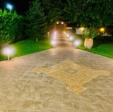 Forest view evia
