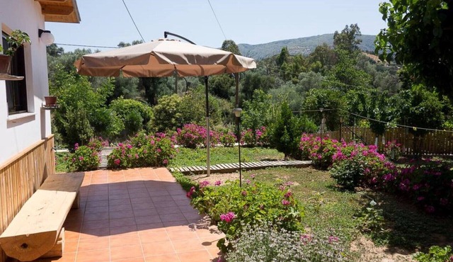 Guest house Dramountana both apartments