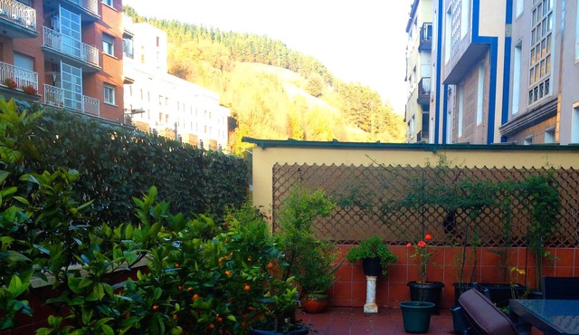 Large, cozy, quiet apartment and large terrace shared with owner in Eibar