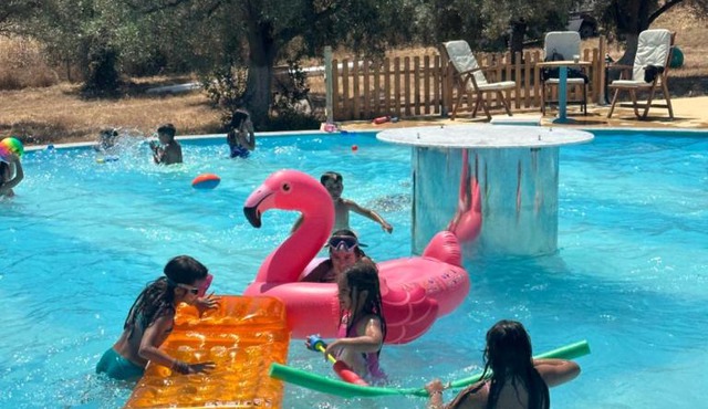Seven stars Camping Evelina in Keratea