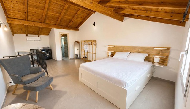 Treehouse Suite and Apartment