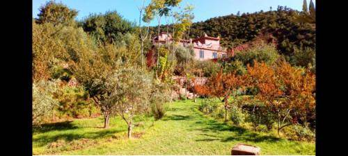 Tnine Ourika Bed & Breakfast | 45 m² Bed and breakfast ∙ 4 guests